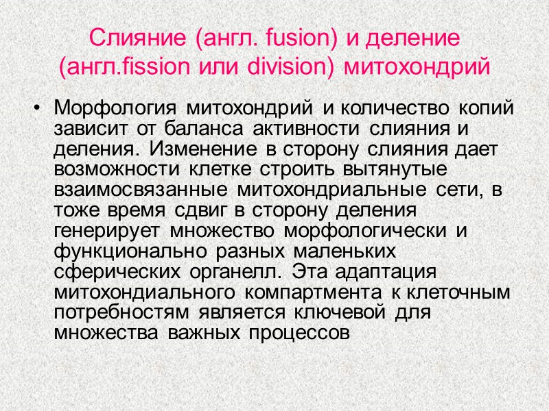 Слияние (англ. fusion) и деление (англ.fission или division) митохондрий Морфология митохондрий и количество копий